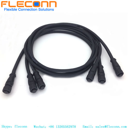 M12 8-Postion Sensor Cable